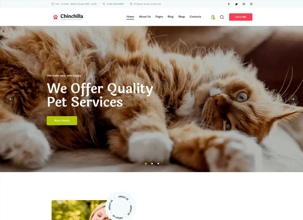Chinchillas | WordPress-Theme für Tierpflege und Tierhandlung