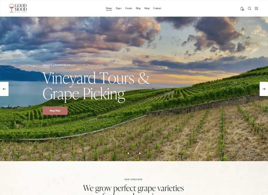 Gute Laune | Wein Shop WordPress-Theme