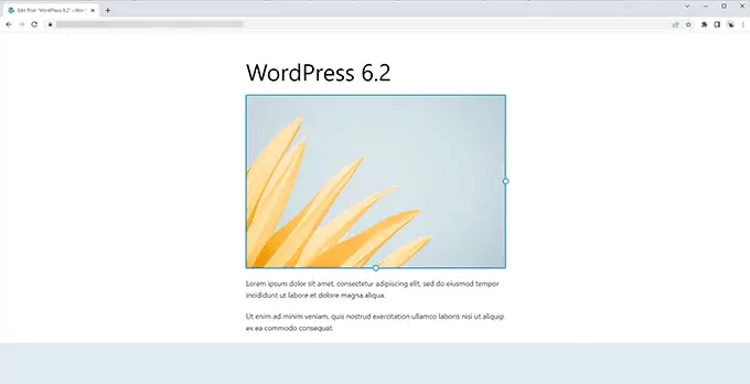 محرر تشتيت مجاني في WordPress 6.2 Distraction free editor in WordPress 6.2
