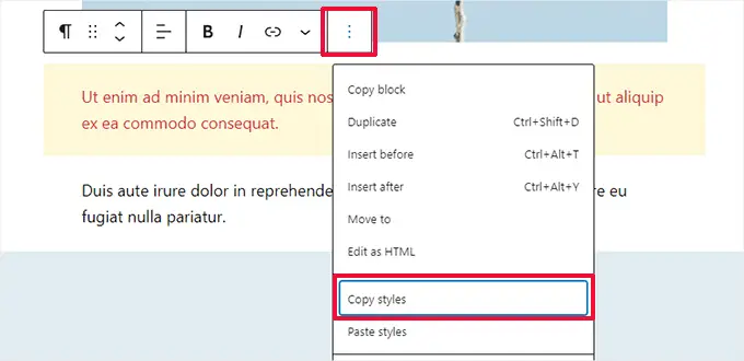 نسخ الأنماط Copy styles