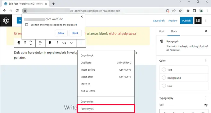 لصق الأنماط Paste styles