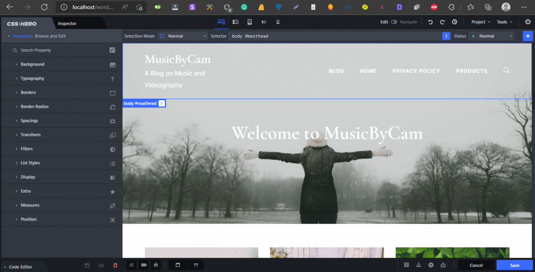 CSS hero customization