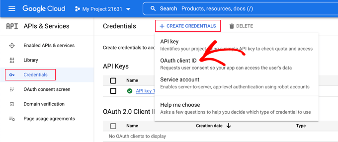 WordPress 11'de Tek Tıklamayla Google Girişini Etkinleştirme API keys One-Click Google Login