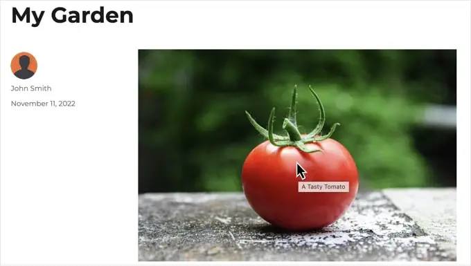 Ein Bild mit dem Titeltext An image with the title text