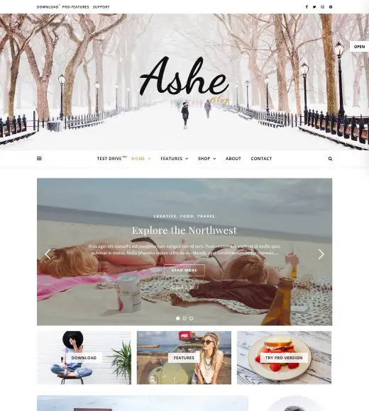 Ashe En Popüler Ücretsiz WordPress Teması