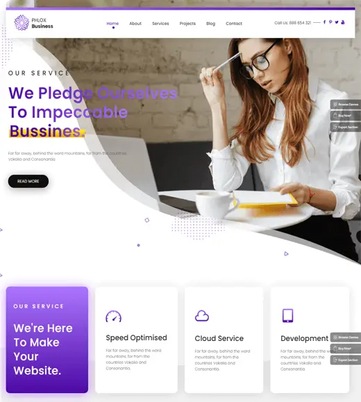 Phlox WordPress Tema Demosu