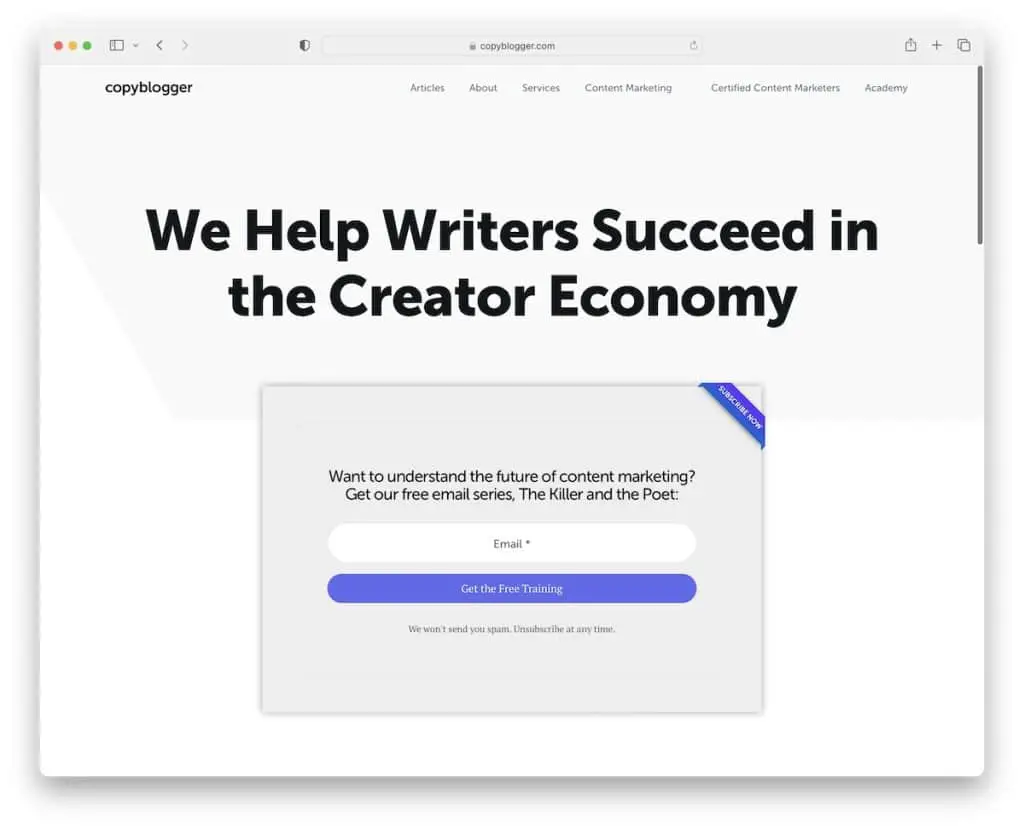 skopiuj witrynę copywritera bloggera