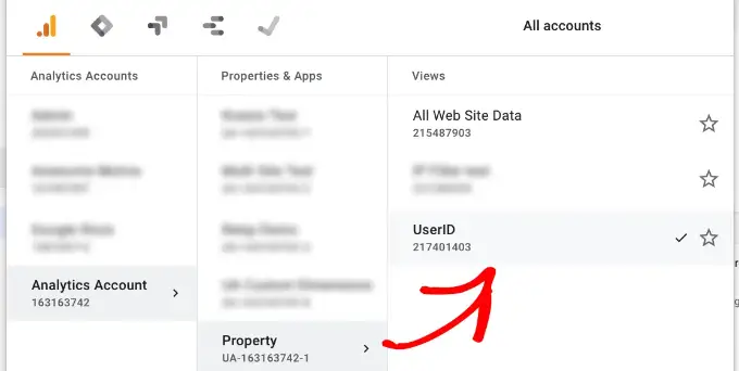 Visualizzazione report ID utente Select UA User ID view