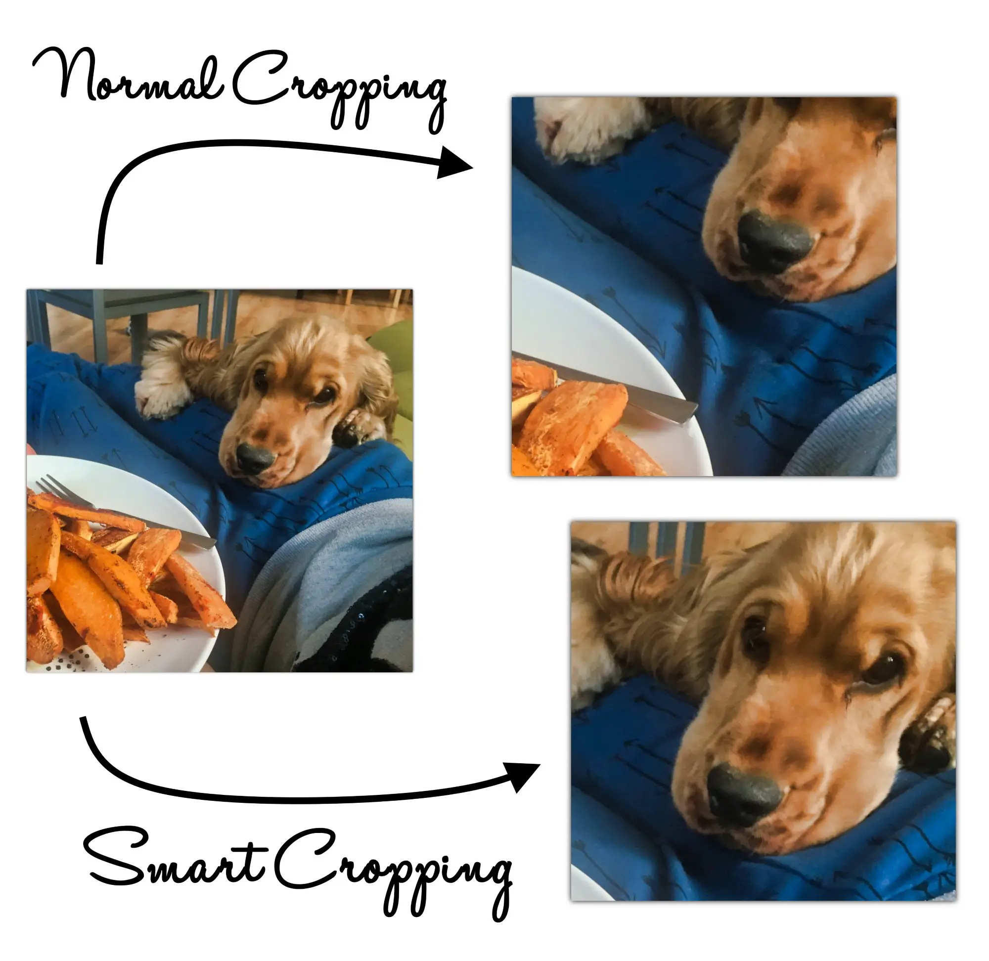 Utilisez le recadrage intelligent pour créer des images adaptatives pour WordPress.