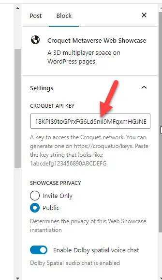 Chiave API Api key pasted