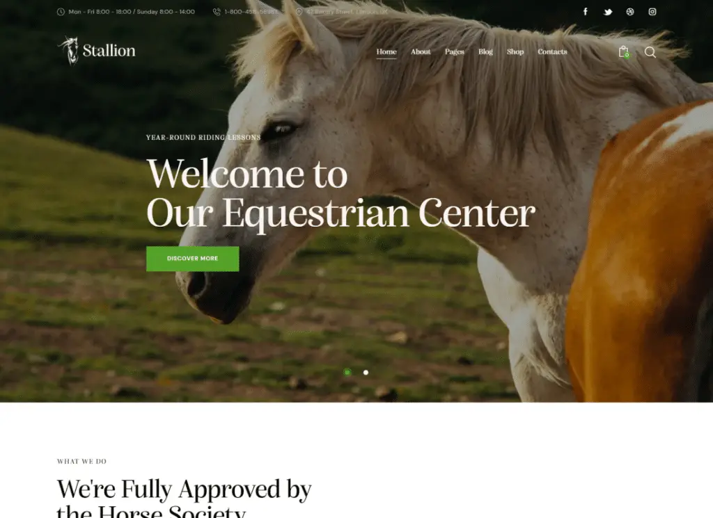 Stallion - ชมรมขี่ม้าและโรงเรียนสอนขี่ม้า WordPess Theme