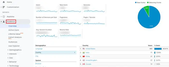 Registerkarte "Zielgruppe" von Google Analytics.