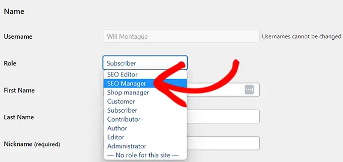 從下拉菜單中選擇 SEO 管理器 Choose the SEO Manager from the dropdown menu