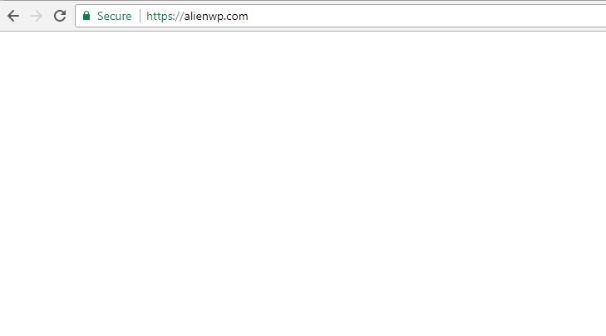 biały ekran śmierci, jeden z typowych błędów wordpress