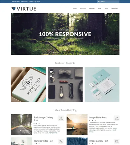 Thème WordPress Vertu