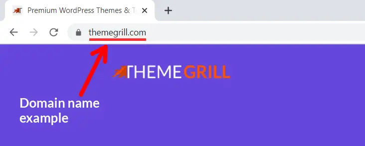 域名示例“ThemeGrill.com”