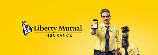 产品分类示例：Unsought goods, Liberty Mutual