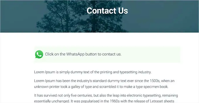 Pulsante WhatsApp su una pagina WhatsApp button on a page