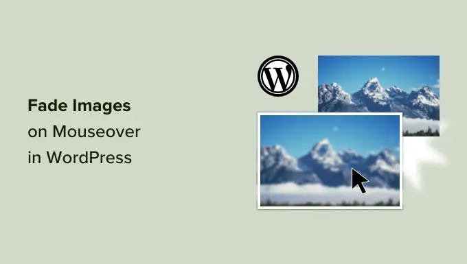كيف تتلاشى الصور عند تمرير الماوس فوق WordPress How to fade images on mouseover in WordPress