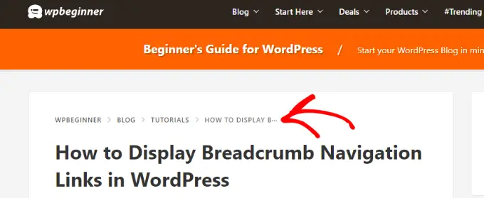 Bułka tarta wyświetlana na stronie WPBeginner Navigational links preview in WPBeginner