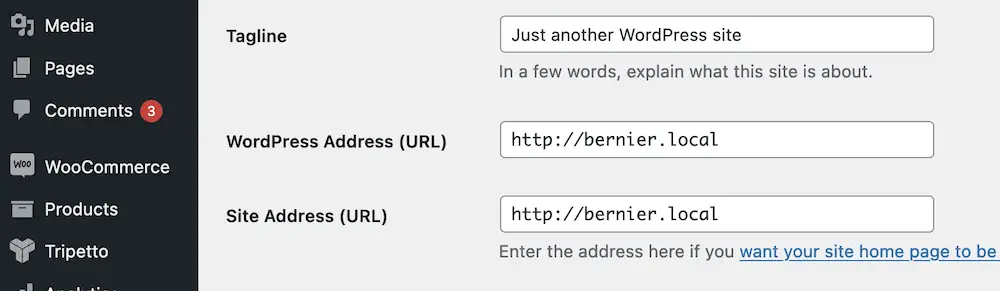 WordPress Adresini ve Site Adresi URL'lerini gösteren WordPress wp-admin kontrol paneli ekranı.