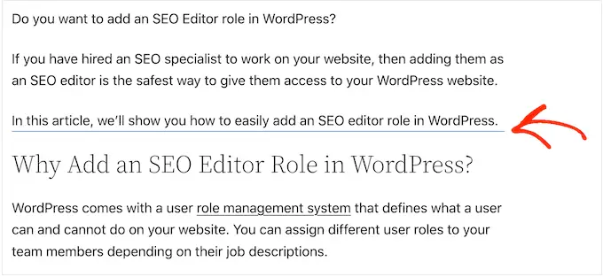 WordPress 블록 편집기를 사용하여 만든 사용자 지정 구분선 A custom divider created using the WordPress block editor
