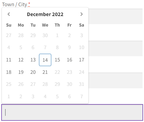 exemple de champ de sélecteur de date woocommerce