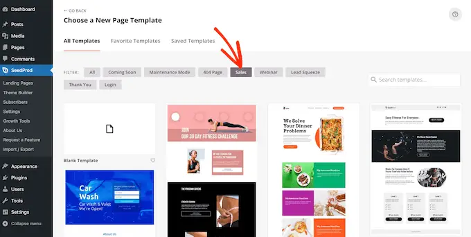 Les modèles conçus par des professionnels de SeedProd SeedProd's professionally-designed templates