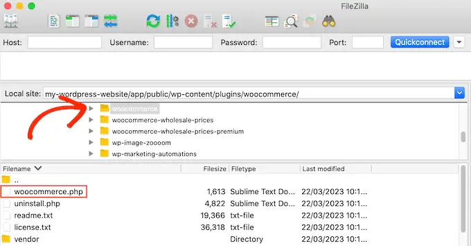 Comment trouver un fichier de plugin dans FileZilla How to find a plugin file in FileZilla