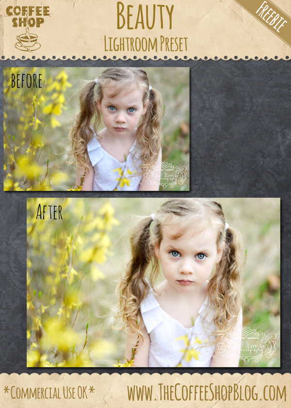 Fotografie, Lightroom-Voreinstellung