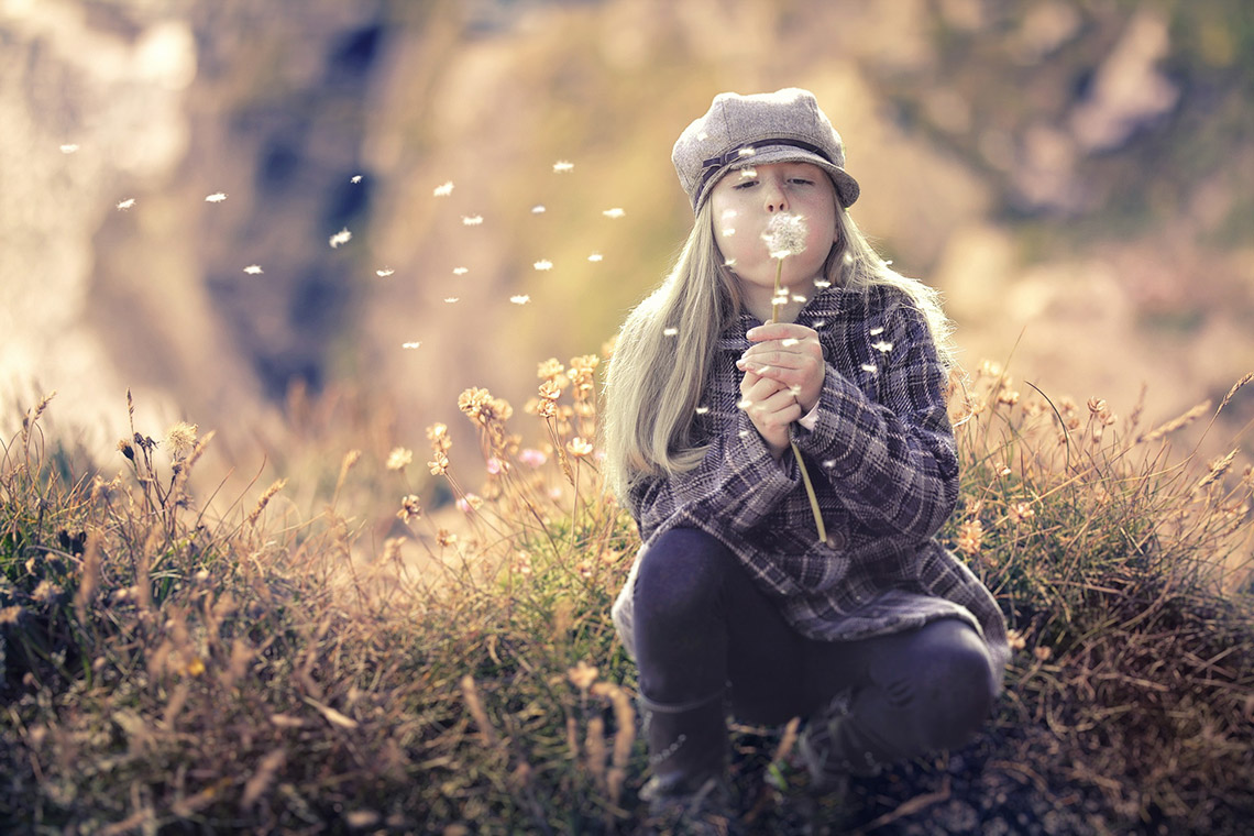 Herbst, Fotografie, Lightroom-Voreinstellung
