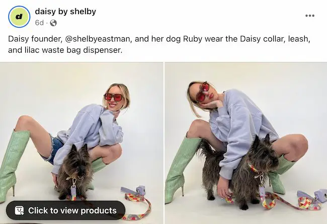 Idei de postări pe Facebook: Daisy de Shelby