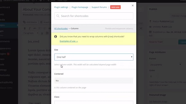 Plugin de code court, plugin ultime
