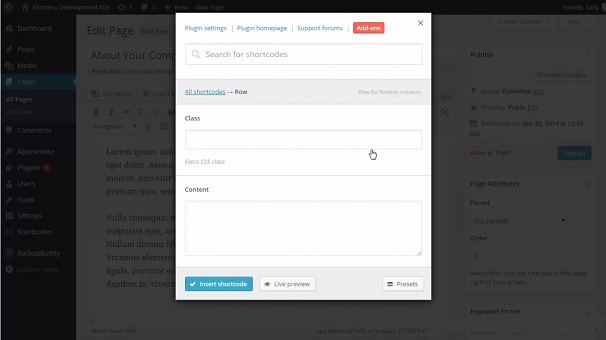 Plugin de code court, plugin ultime