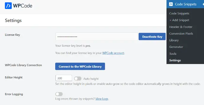 WPCode lisans anahtarını girin