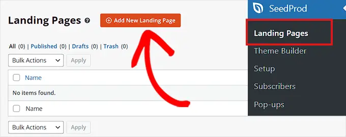 Faceți clic pe butonul Adăugați o pagină de destinație nouă Click the Add New Landing Page button
