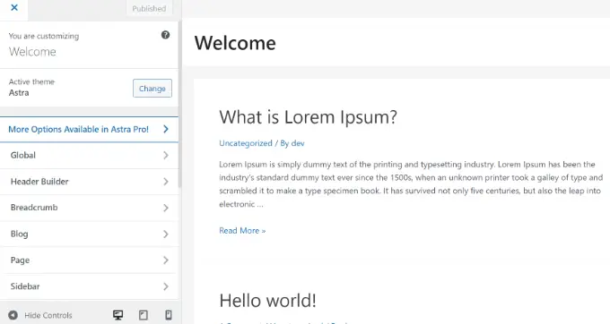 Personnalisateur de thème WordPress (vue de bureau) View options in theme customizer