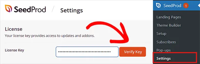 Pegue la clave de licencia en el campo Paste license key in the field