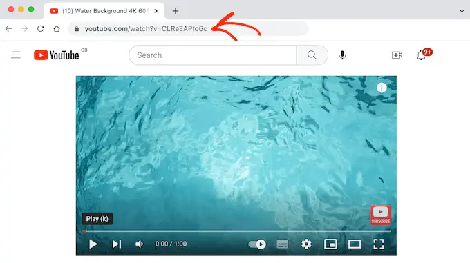 Obținerea adresei URL pentru un videoclip YouTube Getting the URL for a YouTube video