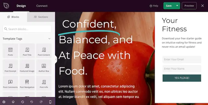 SeedProd 主題定制器 The SeedProd theme customizer