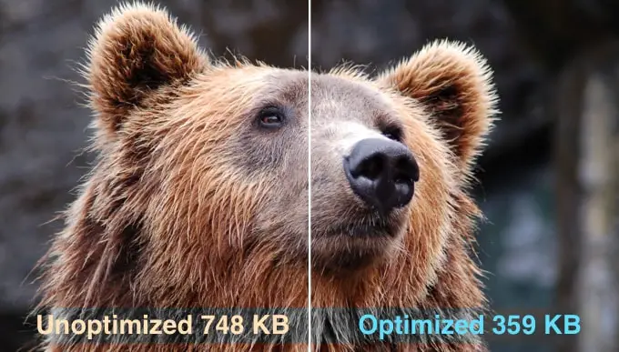 WordPress の最適化された画像と最適化されていない画像 Optimized vs Unoptimized Images in WordPress