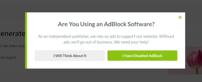 Fenêtre contextuelle du détecteur AdBlock Ad blocker campaign preview