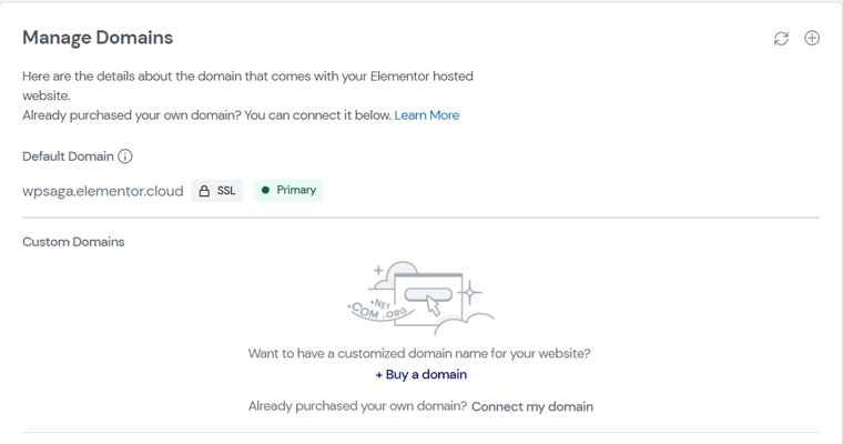 Elementor Hosting Managementul domeniului