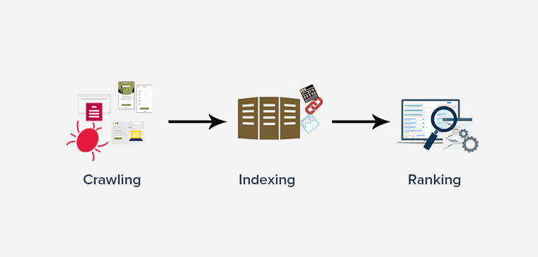 通过爬行索引和排名工作的搜索引擎