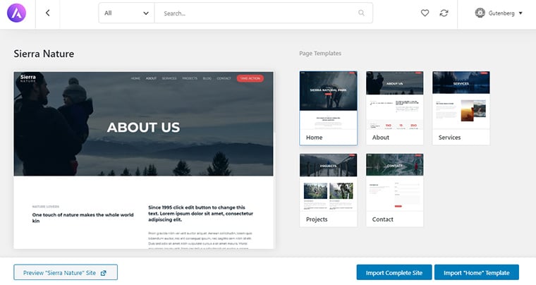 Astra Theme Demo și Site Import
