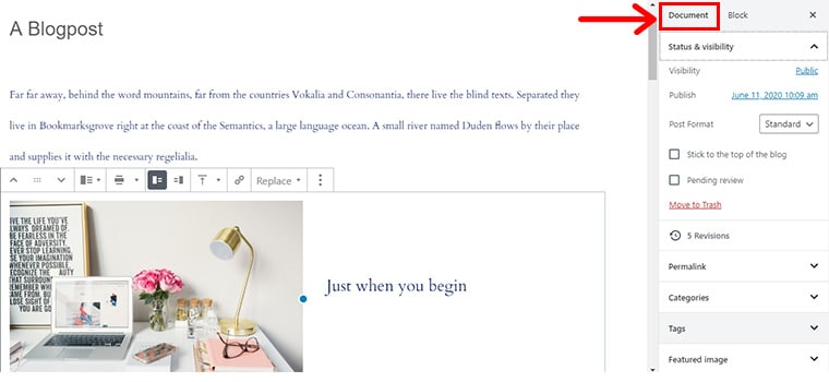 Configurarea setărilor de postare din fila Document