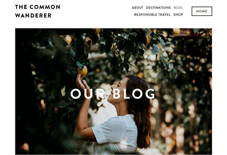 Blog Türleri için Ortak Gezgin Seyahat Blogu Örneği