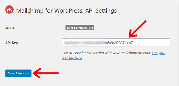 WordPress Web Sitesinde Mailchimp API Anahtarını Girin