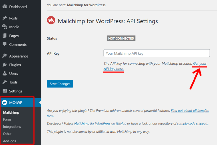 WordPress'te Mailchimp API Anahtar Seçeneğinizi Alın