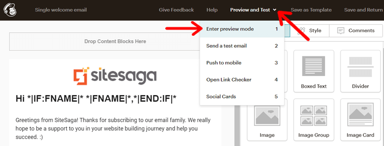 Mailchimp Email Builder'da Önizleme Seçeneği